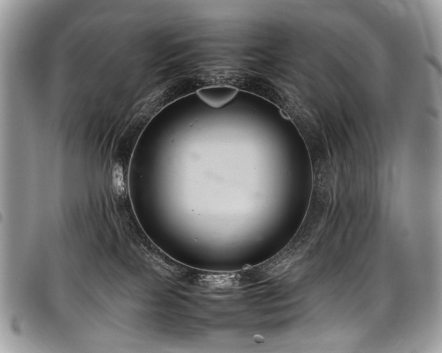 X0000098020089200803281343