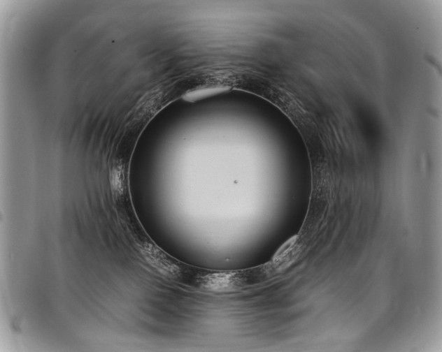 X0000098020090200803281343