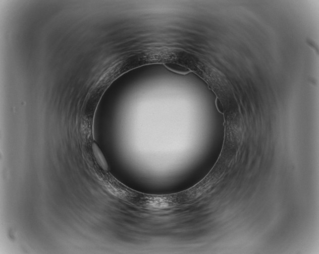 X0000098020091200803281343