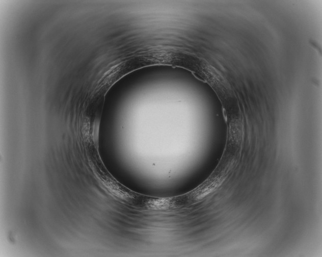 X0000098020092200803281343