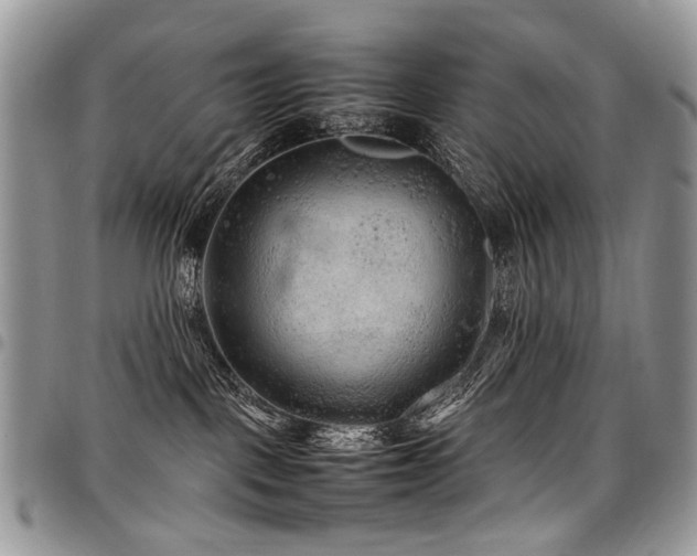 X0000098020093200803281343