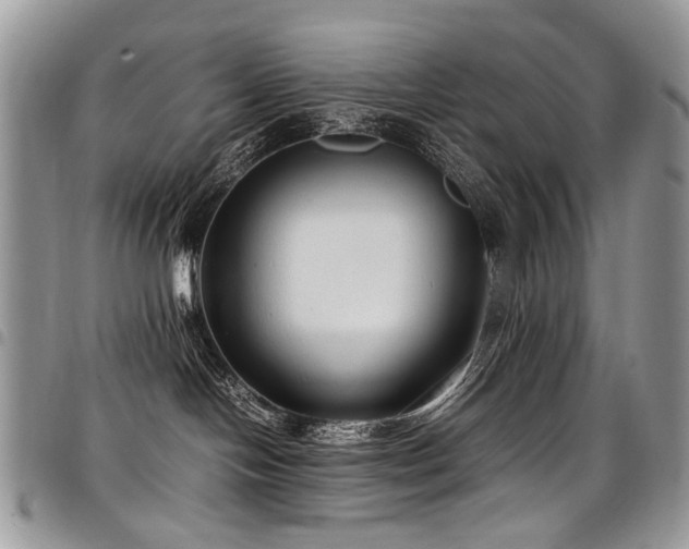 X0000098020094200803281343