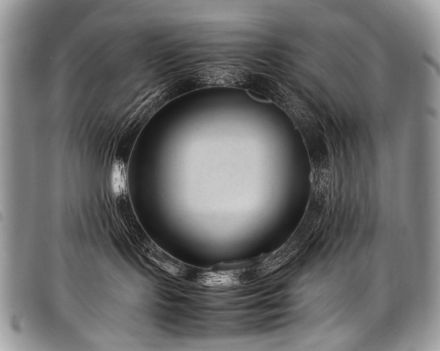 X0000098020095200803281343