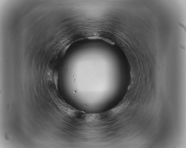 X0000098020096200803281343