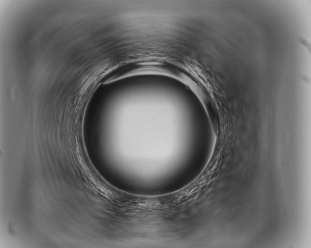 X0000098020097200803281343