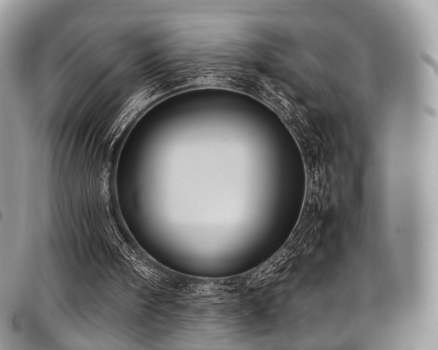 X0000098020098200803281343