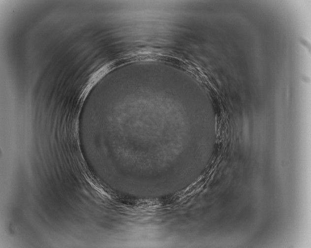 X0000098020099200803281343