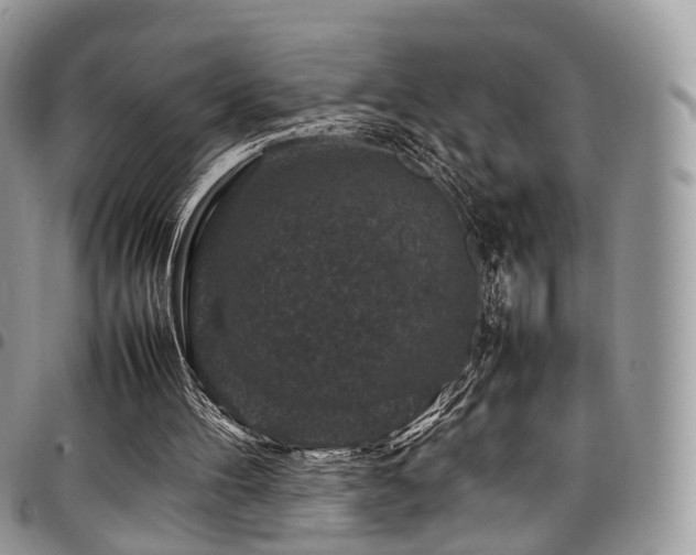 X0000098020100200803281343