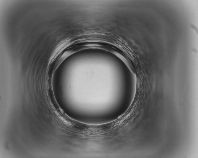 X0000098020101200803281343