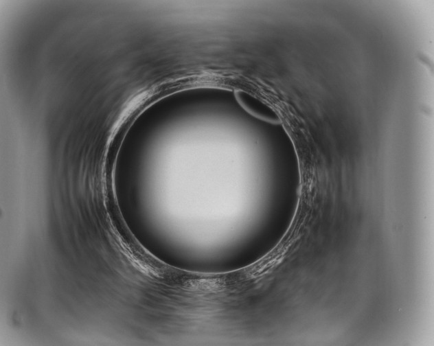 X0000098020102200803281343