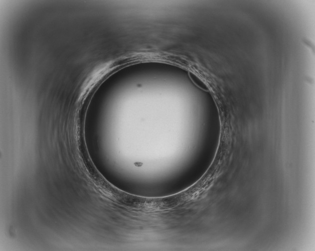 X0000098020103200803281343