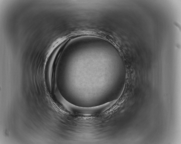 X0000098020104200803281343