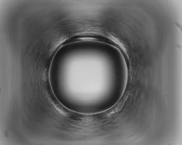 X0000098020105200803281343