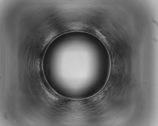 X0000098020106200803281343