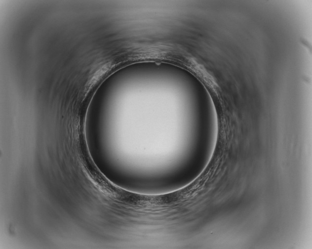 X0000098020107200803281343