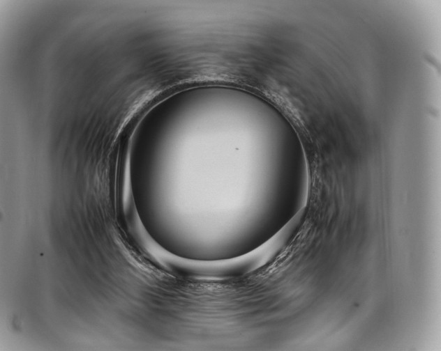 X0000098020108200803281343