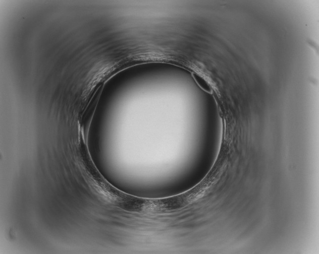 X0000098020109200803281343