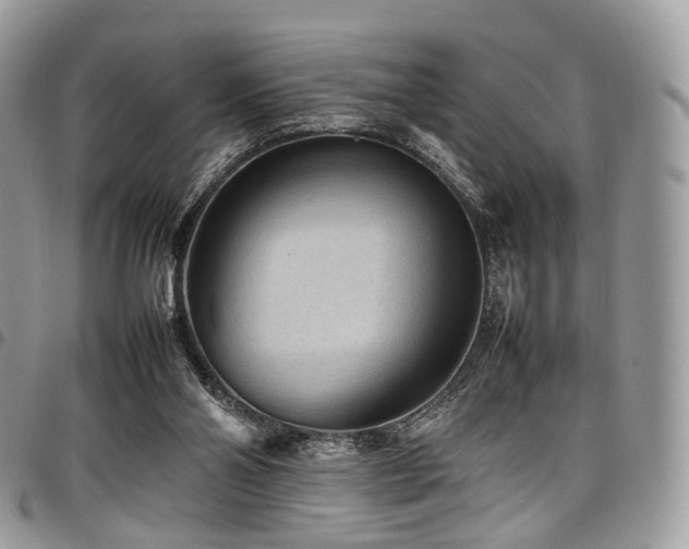 X0000098020110200803281343