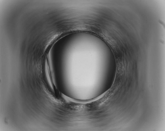 X0000098020112200803281342