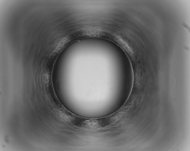 X0000098020113200803281342