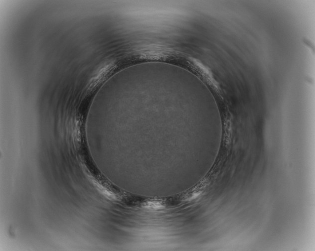 X0000098020114200803281342