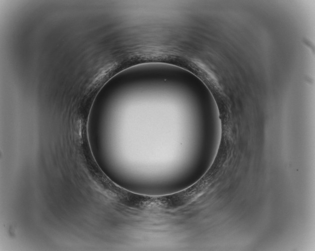 X0000098020115200803281342