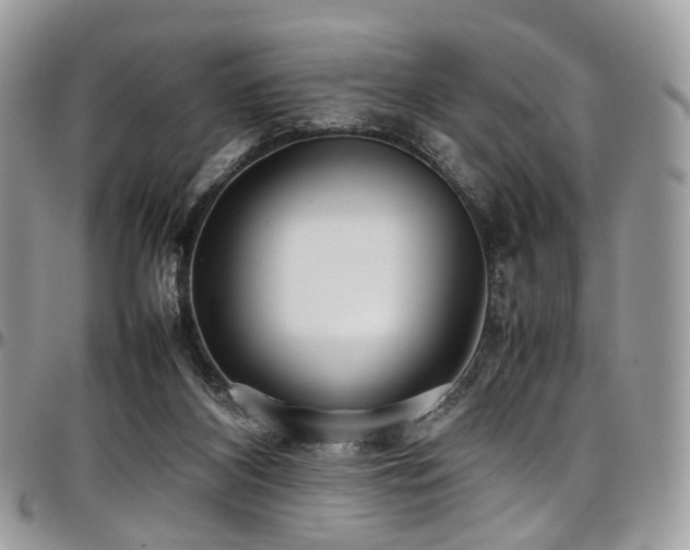 X0000098020116200803281342