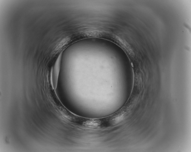 X0000098020117200803281342