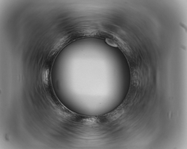 X0000098020118200803281342