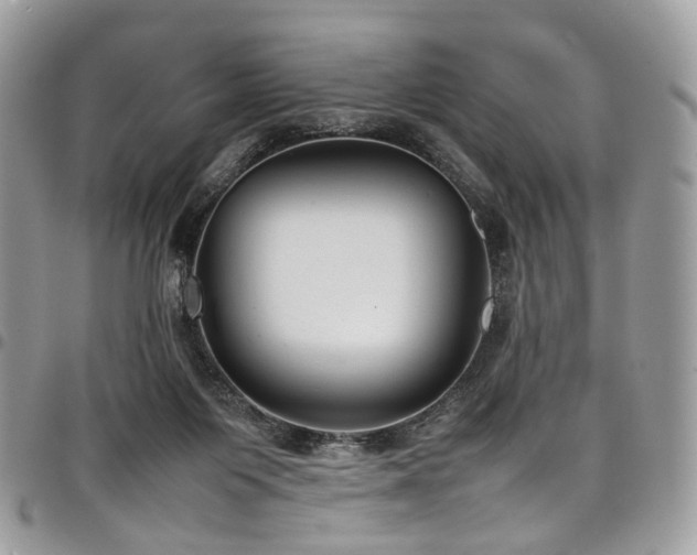 X0000098020119200803281342