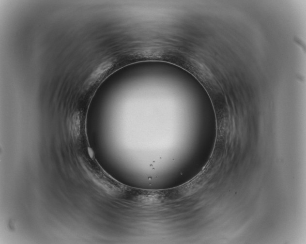 X0000098020120200803281342