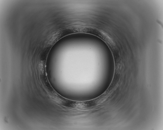 X0000098020121200803281342