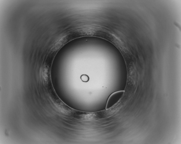 X0000098020122200803281342