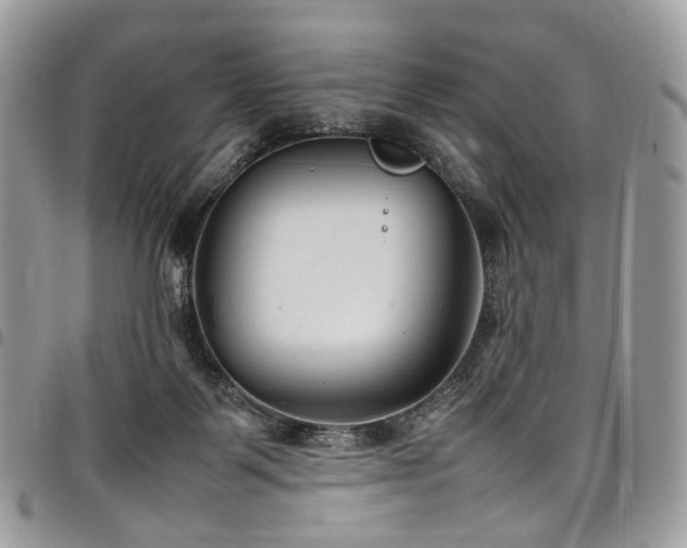 X0000098020123200803281342