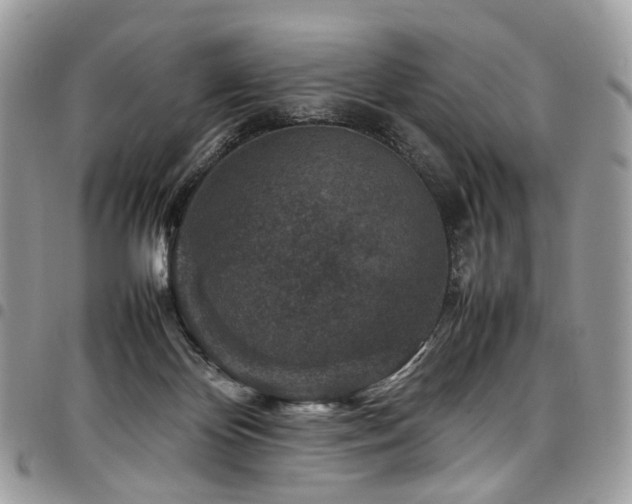 X0000098020124200803281342