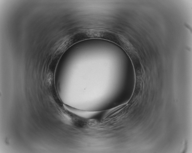 X0000098020125200803281342