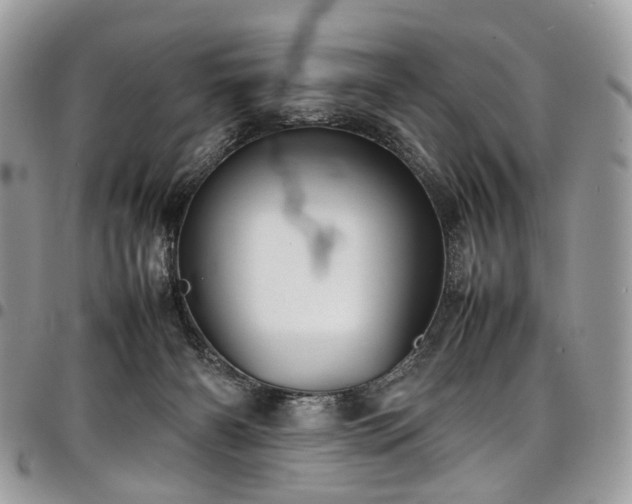 X0000098020126200803281342