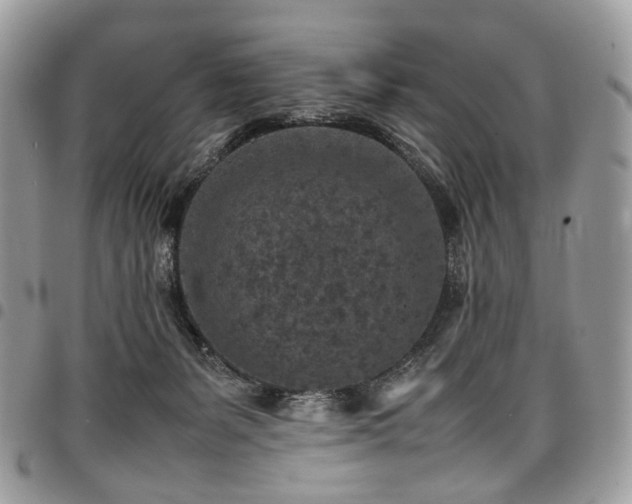 X0000098020127200803281342