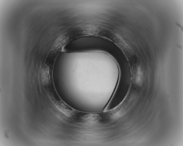 X0000098020128200803281342