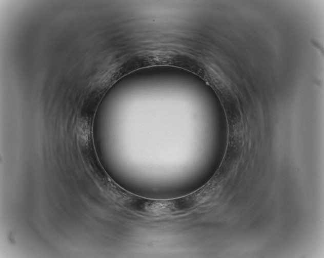 X0000098020129200803281342