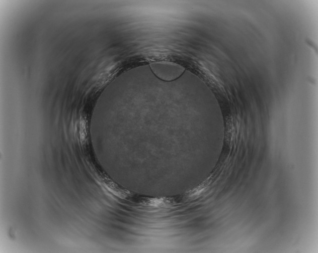 X0000098020130200803281342