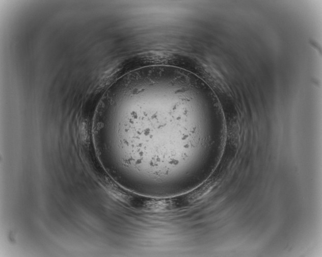 X0000098020131200803281342