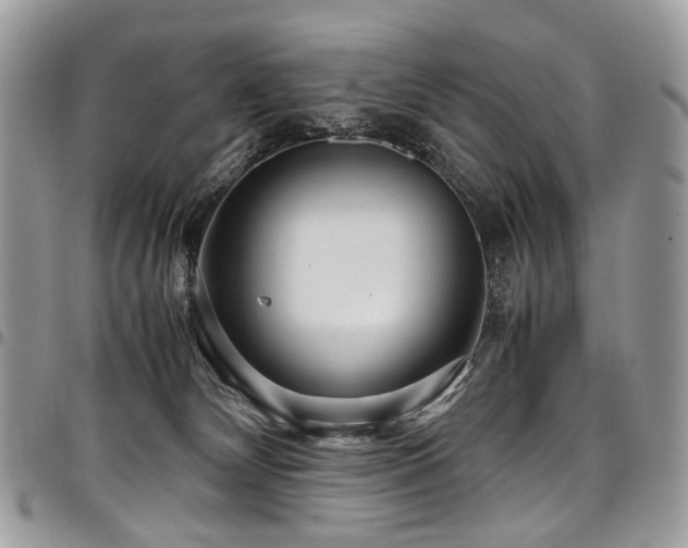 X0000098020132200803281342