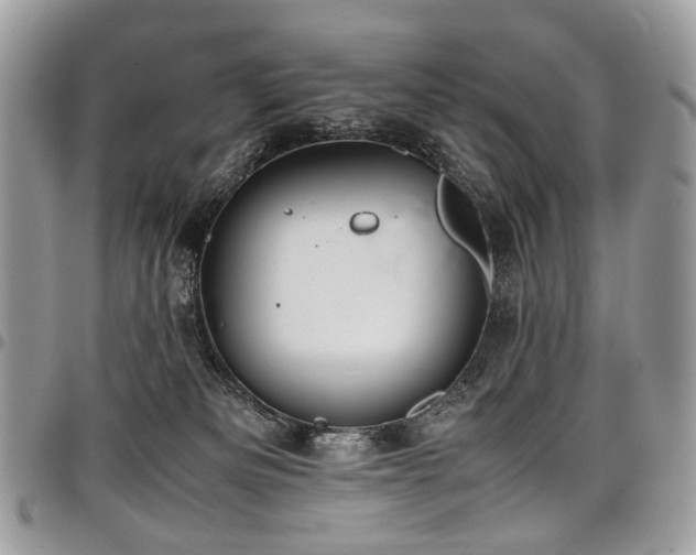 X0000098020133200803281342