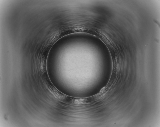 X0000098020134200803281342