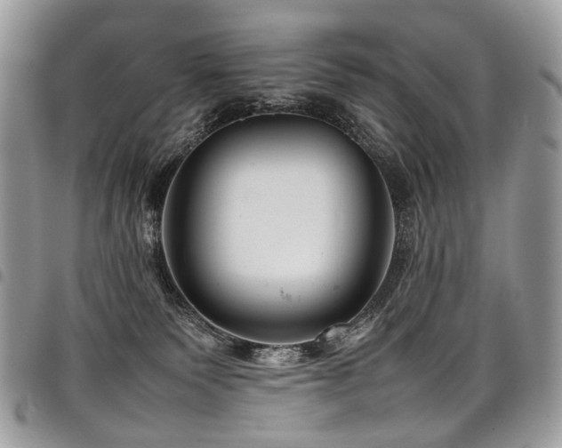 X0000098020135200803281342