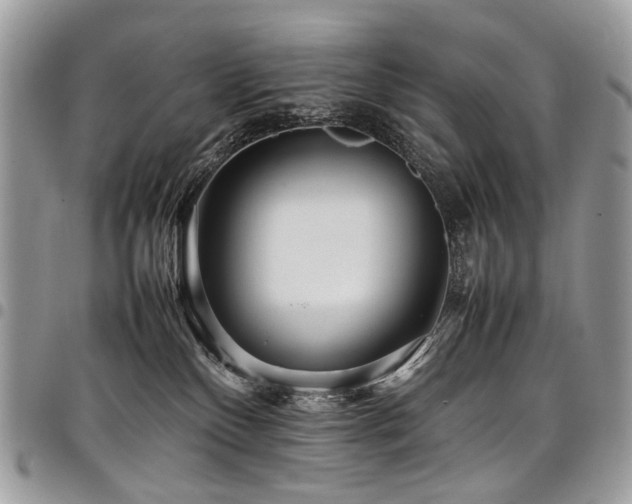 X0000098020136200803281342