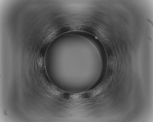 X0000098020139200803281342