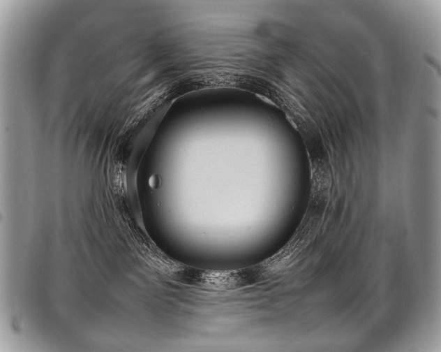 X0000098020141200803281342