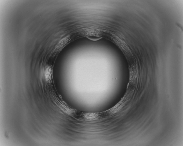 X0000098020142200803281342